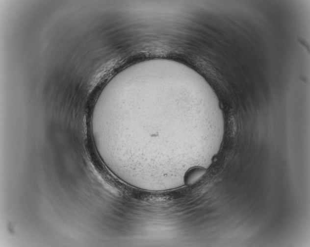 X0000099530638200806131128