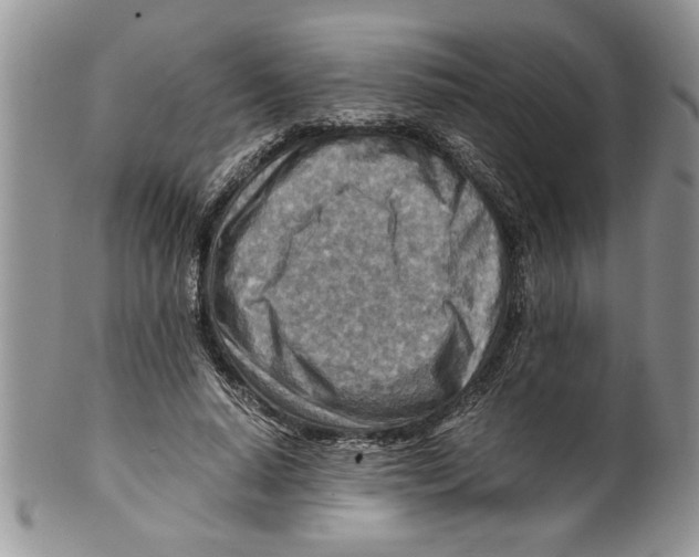 X0000099530640200806131128