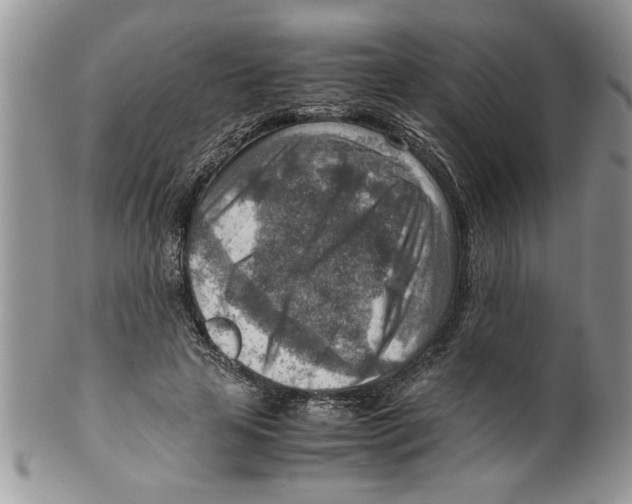 X0000099530641200806131128