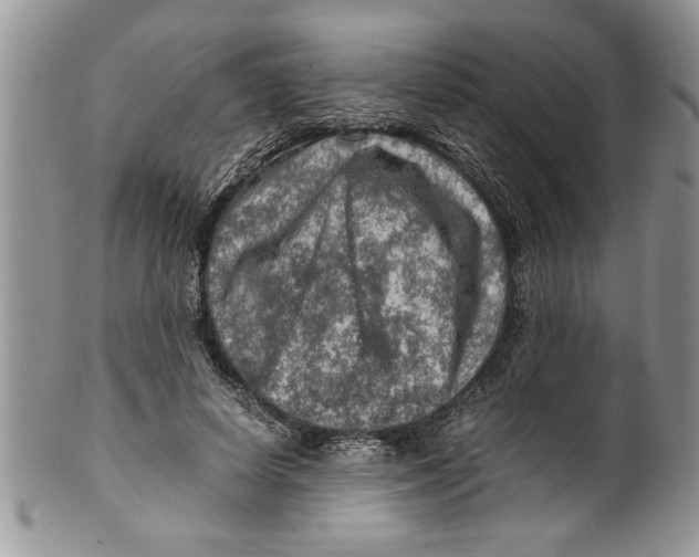 X0000099530642200806131128