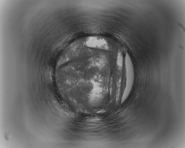 X0000099530643200806131128