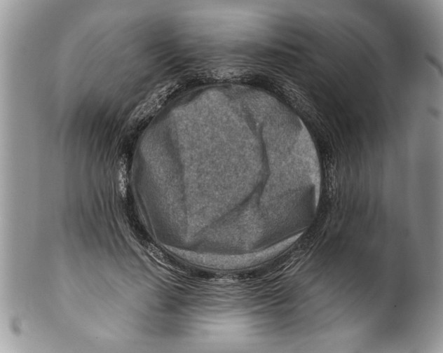 X0000099530644200806131128