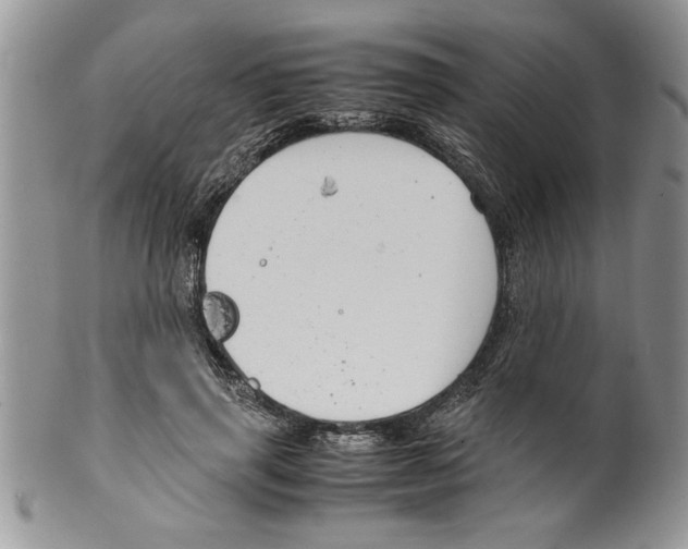 X0000099530645200806131128