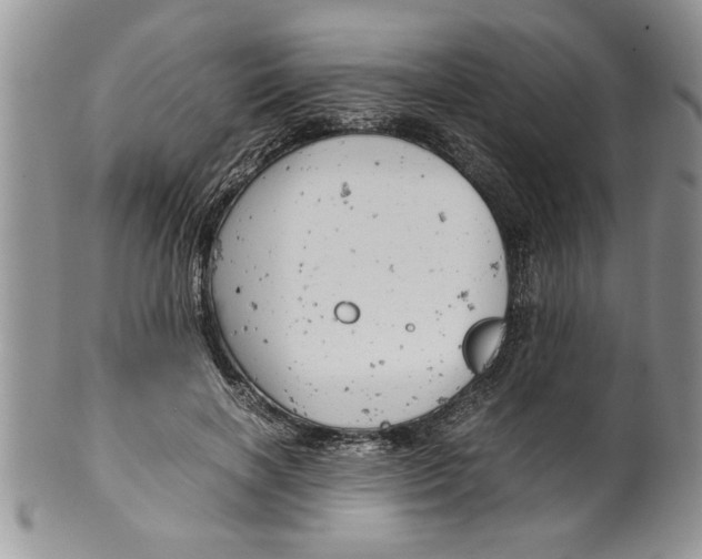 X0000099530646200806131128