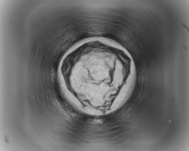 X0000099530647200806131128