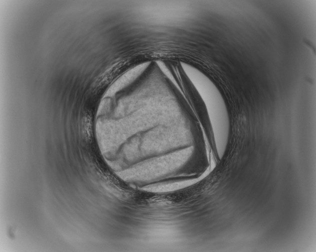 X0000099530648200806131128