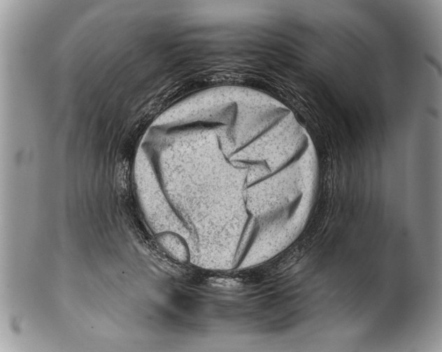 X0000099530649200806131128