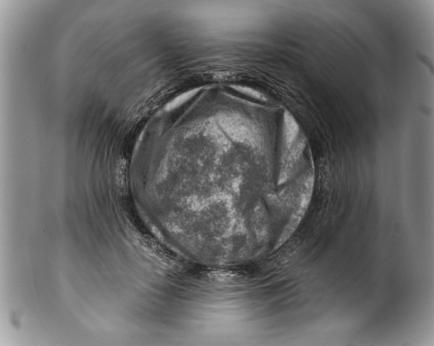 X0000099530650200806131128