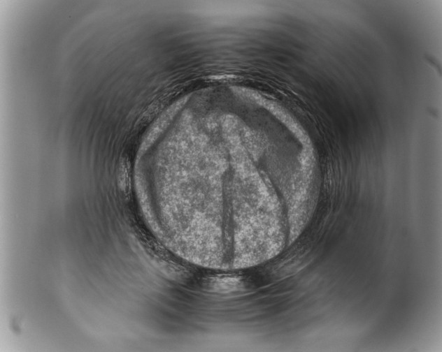 X0000099530651200806131128