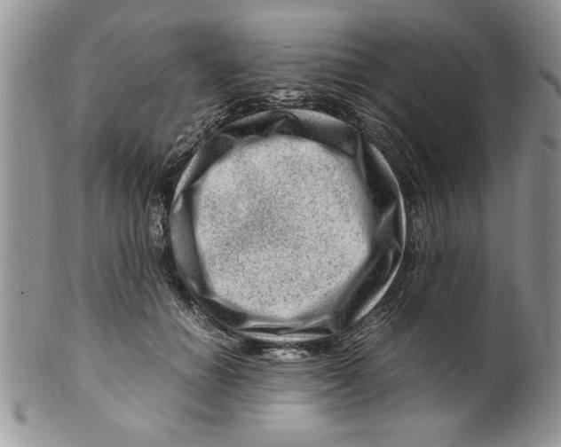 X0000099530654200806131128