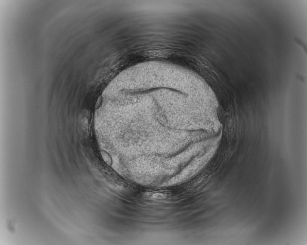 X0000099530655200806131128