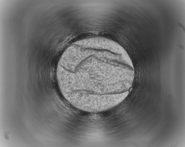 X0000099530656200806131128