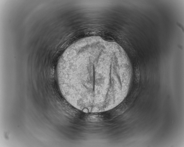 X0000099530657200806131128