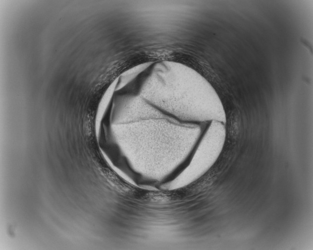 X0000099530658200806131128