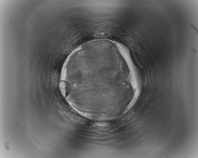 X0000099530659200806131128