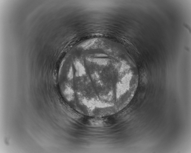 X0000099530661200806131128