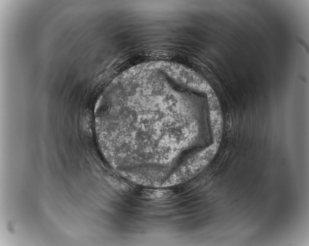 X0000099530663200806131128