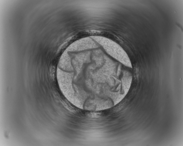 X0000099530664200806131128