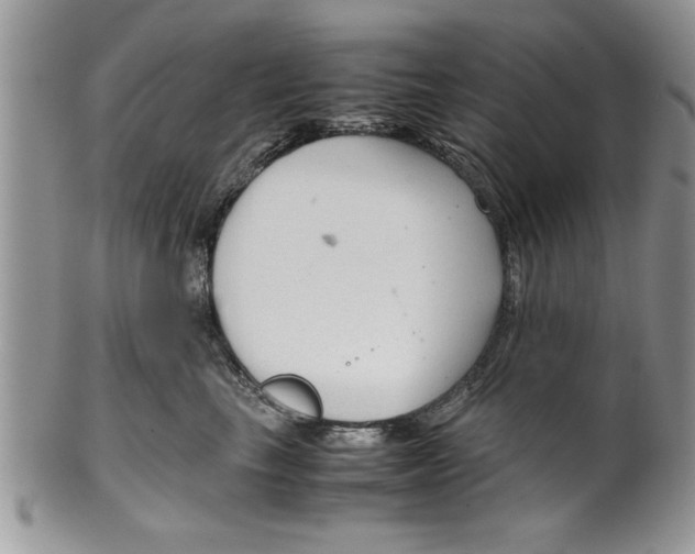 X0000099530665200806131128