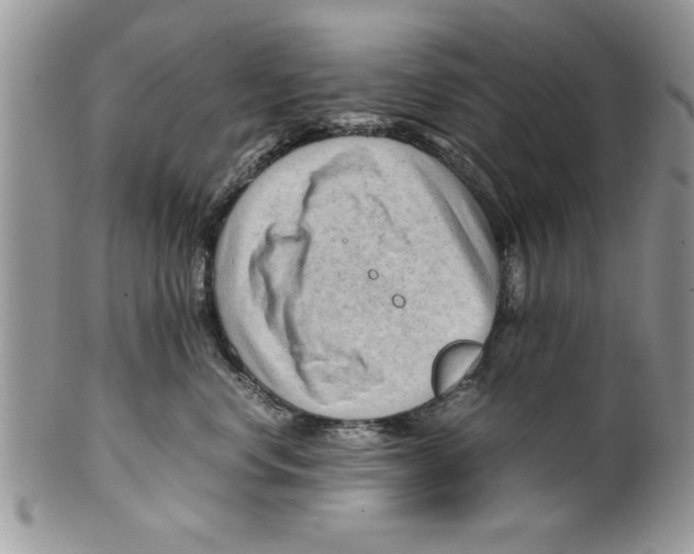 X0000099530668200806131128