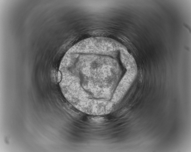 X0000099530669200806131128