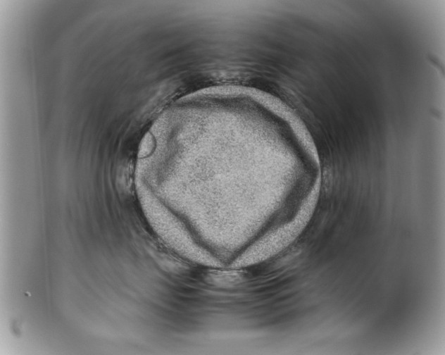 X0000099530671200806131128