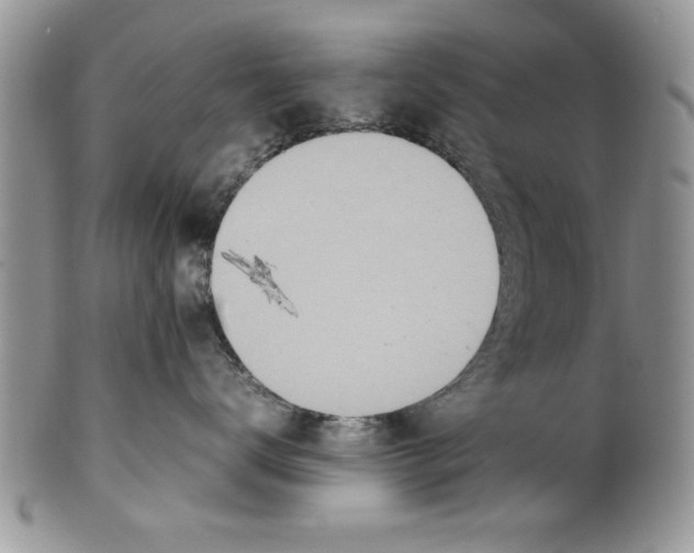 X0000099530672200806131128