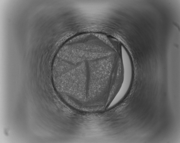 X0000099530673200806131128