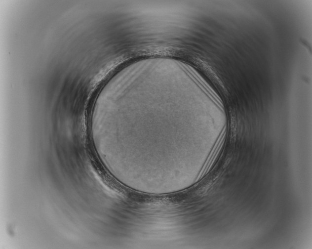 X0000099530674200806131128