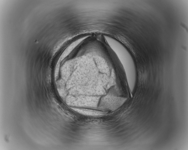 X0000099530676200806131128