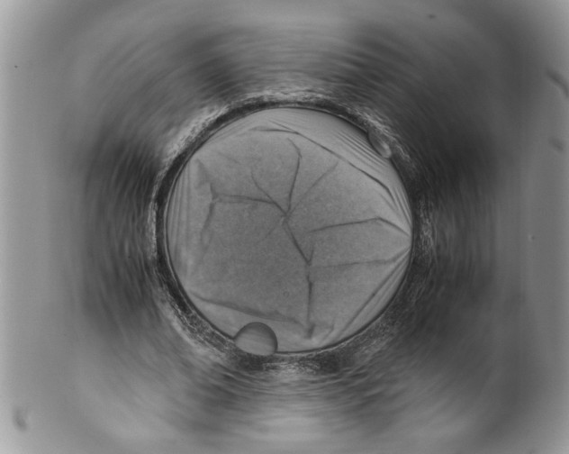 X0000099530678200806131128