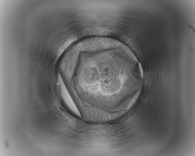 X0000099530679200806131128