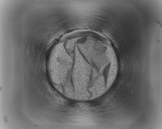 X0000099530681200806131128