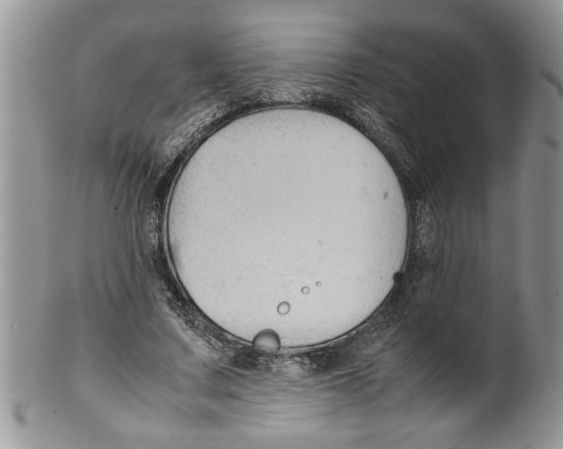 X0000099530683200806131128