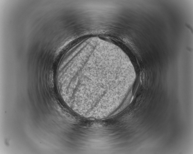 X0000099530684200806131128