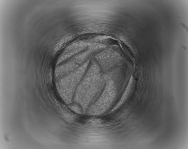 X0000099530685200806131128