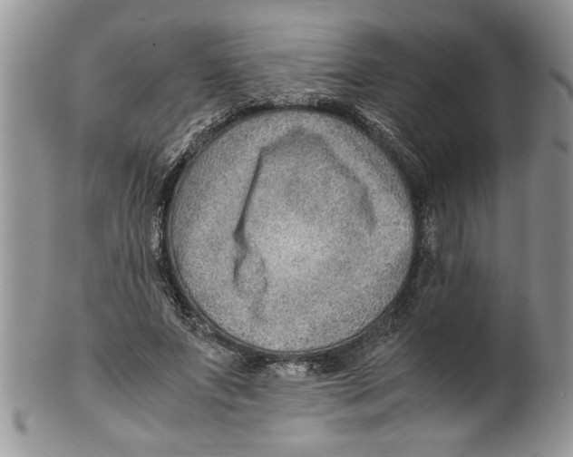 X0000099530687200806131128