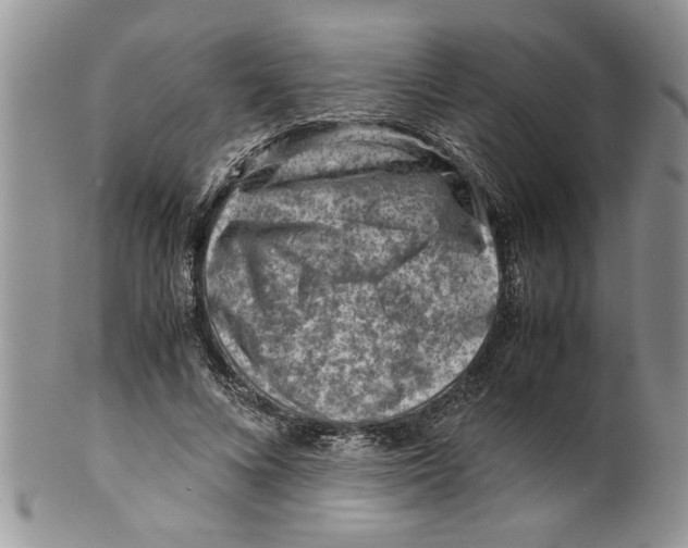 X0000099530688200806131128