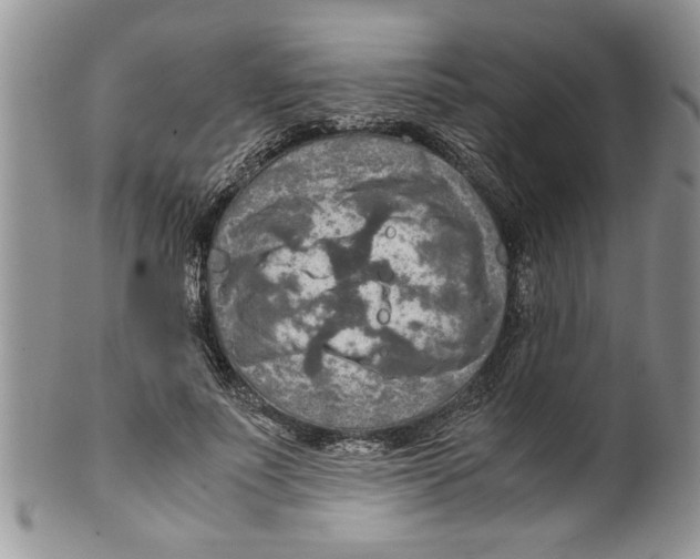 X0000099530691200806131128