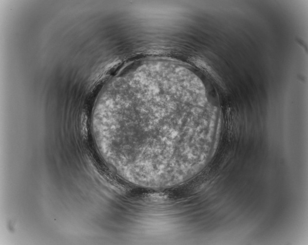 X0000099530692200806131128