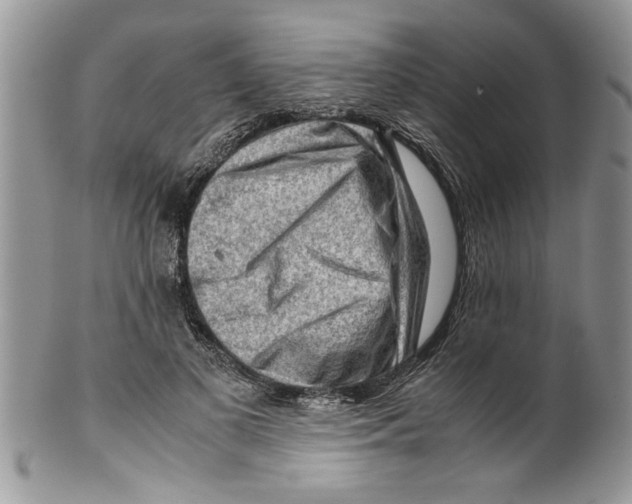 X0000099530693200806131128