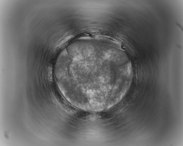 X0000099530696200806131127