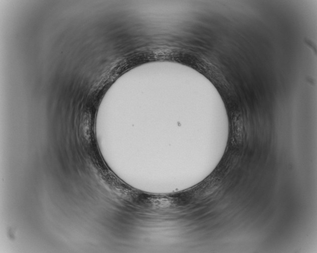 X0000099530698200806131127