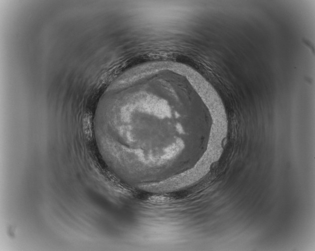 X0000099530699200806131127