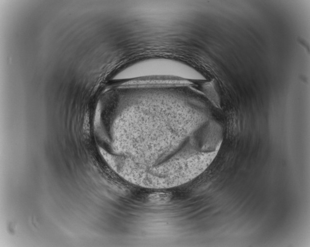 X0000099530700200806131127