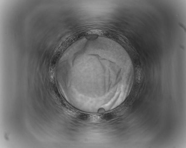 X0000099530701200806131127