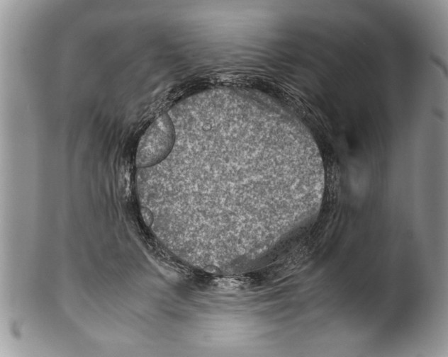 X0000099530703200806131127