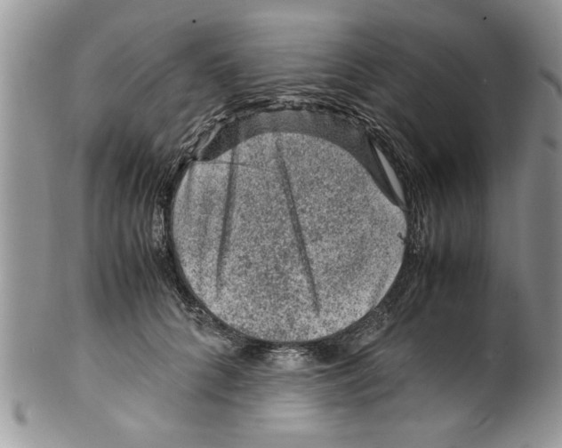 X0000099530704200806131127