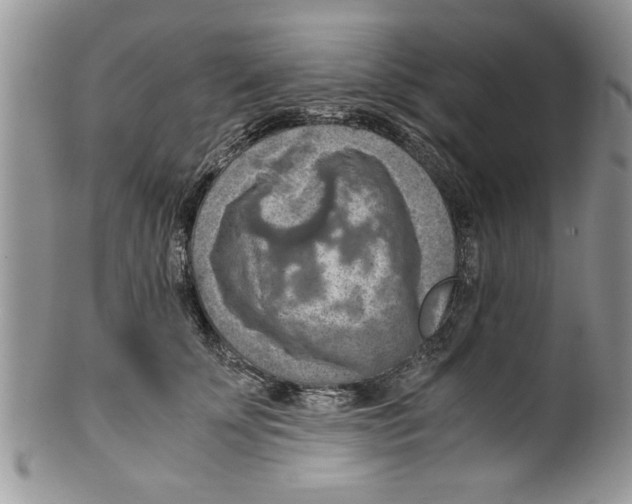 X0000099530707200806131127