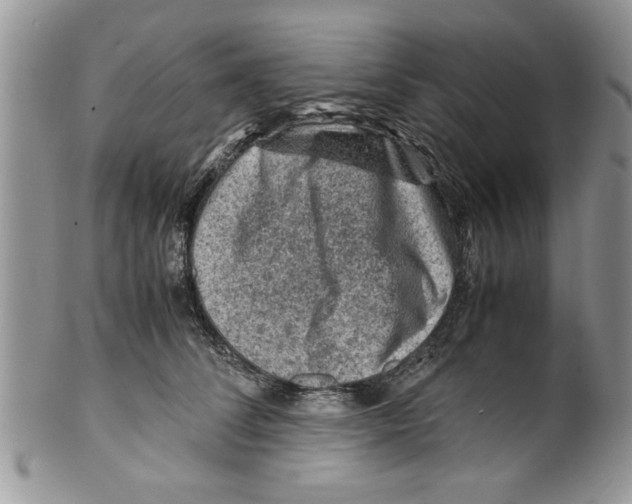 X0000099530708200806131127